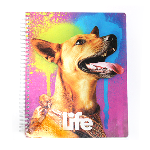 Cuaderno Profesional De Arillo Ibook Life 100Hj C-7 Cuadro G